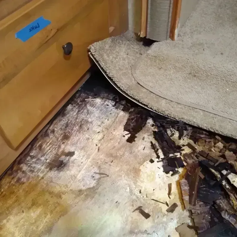 Wood Floor Water Damage in Hayfield, MN